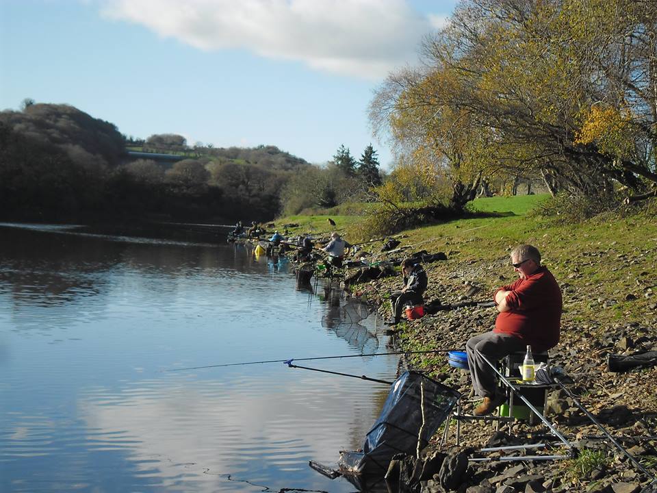 Coarse angling in Ireland – Where to fish?