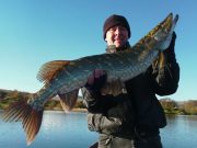 Good pike for first time angler at Allua last weekend including a fine Catch of the Week for first time pike angler. pike