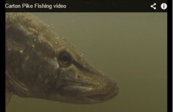 pike