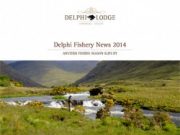 Delphi looks forward to 2015