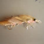 Jason O’Riordan – Fry imitation Articulated Zonker with diving vane