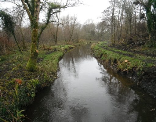 Yellow river looks well after stream enhancement work Great work on the Yellow River entering Derravaragh
