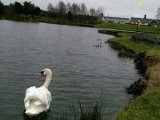 Fishing competition at NDAF Aughrim on Sunday December 28th National Disabled Angling Facility, Aughrim, Co Wicklow