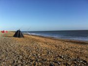 Plenty of fish for South Shore Christmas anglers on Arklow beach. Arklow Beach