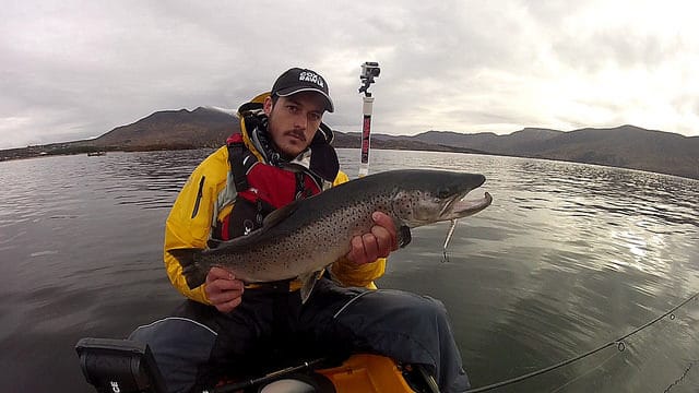 seatrout