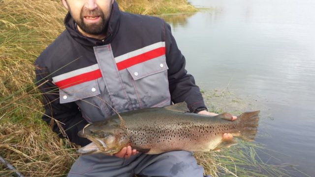 Shane Walsh with a fantastic 15lb brownie at Ardaire Springs