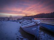 Irish Angling Update, 15/01/15 A snowy dawn