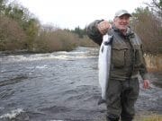 Brian lands the first salmon of 2015 on the Drowes Brian Mc Clintock with first salmon of 2015 from the Drowes