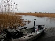 Gale force winds keep kayaker on land