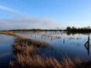 Gary Robinson tackles the flu and the floods of January 2015