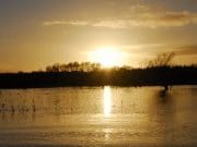 Irish Angling Update 22/01/2015 River Inny photo compliments of Michael Flanagan, Midlands Angling