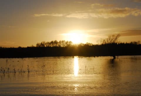 River Inny photo compliments of Michael Flanagan, Midlands Angling