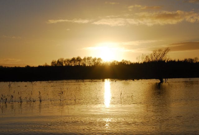 River Inny photo compliments of Michael Flanagan, Midlands Angling