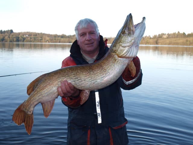 Pike