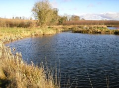 Rathcon Lake