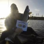 vlcsnap-2015-01-24-17h48m41s65