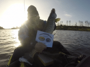 Pike, perch and Pat on the Yak in Clare pike