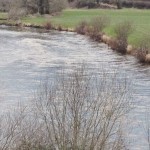 Munster Blackwater
