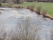 Springer reported from Blackwater Lodge last Friday River water levels