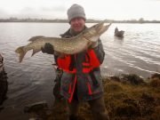Boyle & District open boat competition at Callow Lake is a good start to the fishing season Winning fish caught by Derrick assisted by Billy on the net.