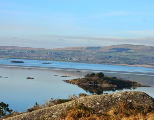 The Salmon are in and the tide is out. Photo taken by Mrs Mary Fitzgerald