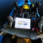 Pike