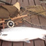 Delphi – Fish newsletter