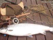 Delphi calling all anglers