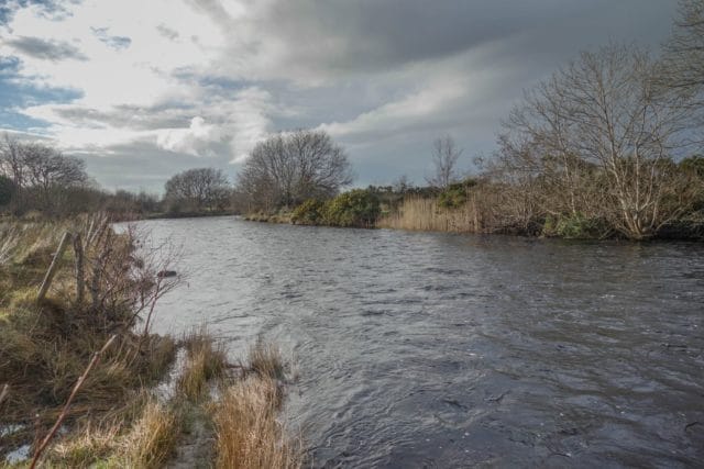 Ideal conditions at Brineys.