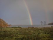 A couple of salmon reported from Melvin last week Rainbow over Melvin