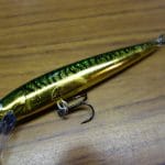 Drowes – The rapala that took today’s second fish