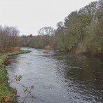 Drowes – The water has dropped below the concrete walk at Thomas' Pool above the Eel Weir.