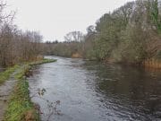 What's the Drowes like for the coming weekend…