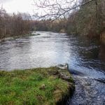 Drowes – Thomas’s Pool