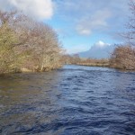 Drowes – Valentine's Day 2015