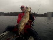 Pike fishing on a rainy Sunday sees Gary with 'Catch of the Week' A nice double on a rainy Sunday
