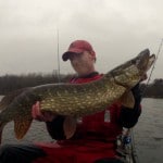 Gary Robinson – Rainy Sunday pike
