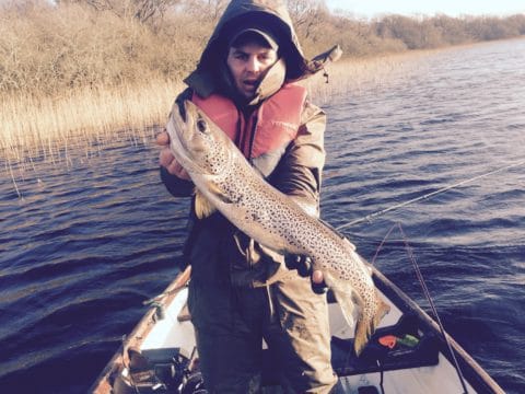 trout