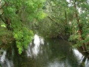 Irish Angling Update – 19/02/15 River Anner, Co. Tipperary Photo: John Flynn IFI