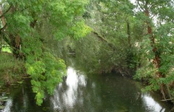Irish Angling Update – 19/02/15 River Anner, Co. Tipperary Photo: John Flynn IFI
