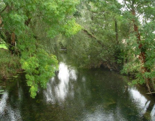 Irish Angling Update – 19/02/15 River Anner, Co. Tipperary Photo: John Flynn IFI