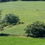 John Landers – Ballinlovaneedit