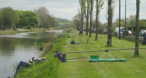 Bream and Tench feature at inaugural Sundew Festival Match Daingean canal town stretch