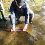 all of our catches were carefully released