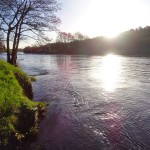 ballyhooly bridge