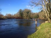 Opening day reports from the Munster Blackwater including two salmon at Careysville Blackwater