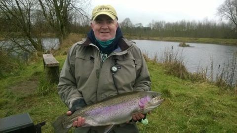 Rainbow trout