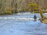 Irish Angling Update, 02/04/15 On the Mill Pool during the week
