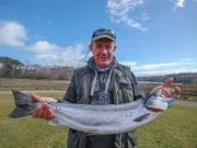 Salmon to 14lb caught and released on Drowes during a mixed week Dermot Mc Neice with his fish from the Grazings.