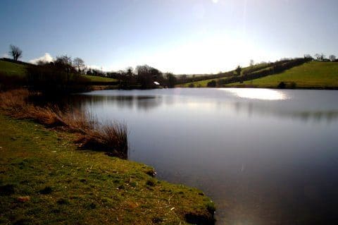 Annagheirin is a Great Location for a Days Fishing. Good for Pike too!